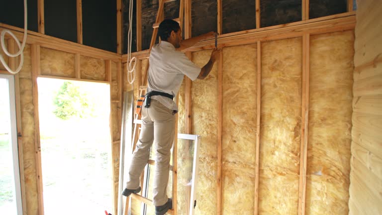 Best Basement Insulation  in Butner, NC