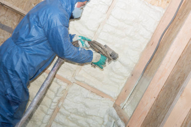 Best Thermal Imaging for Insulation Gaps  in Butner, NC